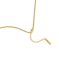 Load image into Gallery viewer, PEAGN0005503_03