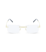 Load image into Gallery viewer, VPLG34 540400_01