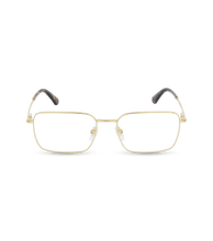 Load image into Gallery viewer, VPLG69 530300_01