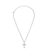 Load image into Gallery viewer, PEAGN0011001_01

